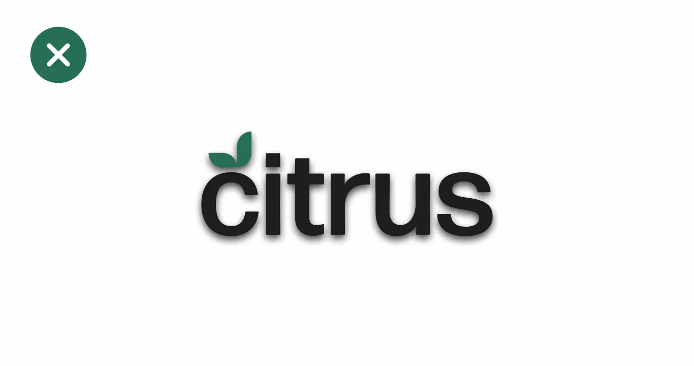 Graphic of the citrus logo with a drop shadow