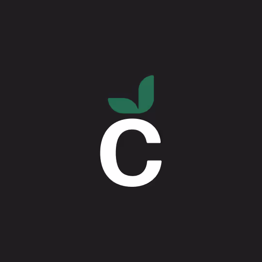 Black Citrus Logomark