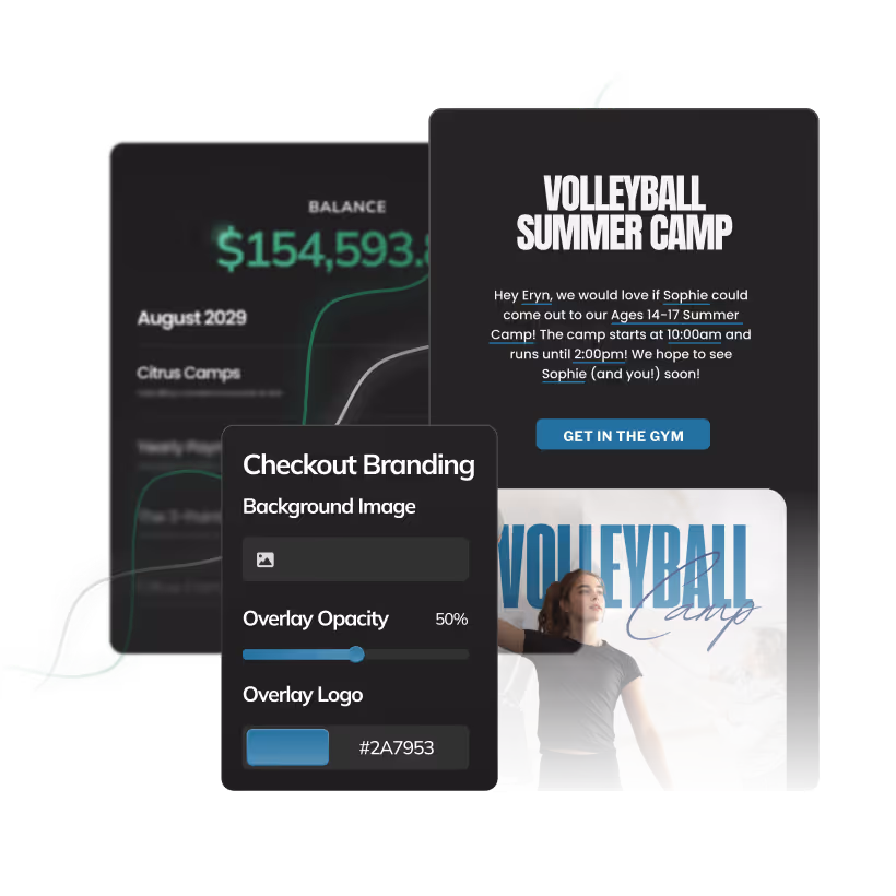 Volleyball graphic showing branding and marketing